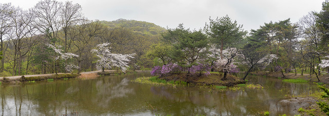 SC615_18.4.14_0031-1Pano.jpg