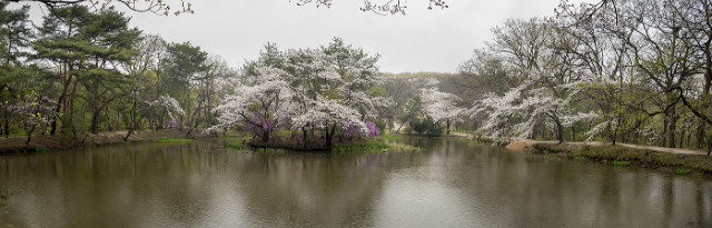 SC615_18.4.14_0039-1Pano.jpg